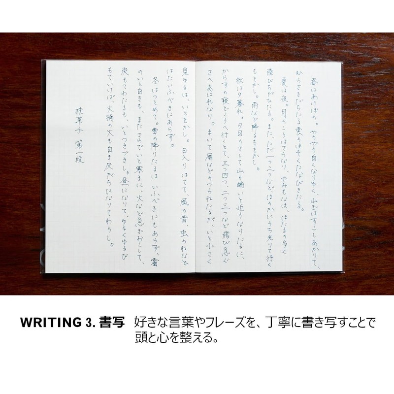 Kokuyo WP Series Pen (Fine Writer WP-F100, Black)