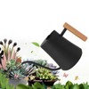 Stainless Steel Watering Can Pot Retro Small Plant Watering Can