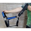 USA Made Wide Nylon Draft Horse Black Halter & Blue