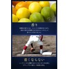 FORTUNE FIELD Grab Care Set