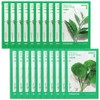 Innisfree energy mask Centella asiatica 10 sheets + green tea 10 sheets free / 이니스프리 에너지 마스크 병풀 10매+그린티10매 증정