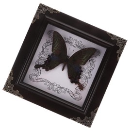 TOYANDONA Real Framed Butterfly Taxidermys Butterfly, Vintage Butterfly Specimen Display with Wooden Frame Shadow Box