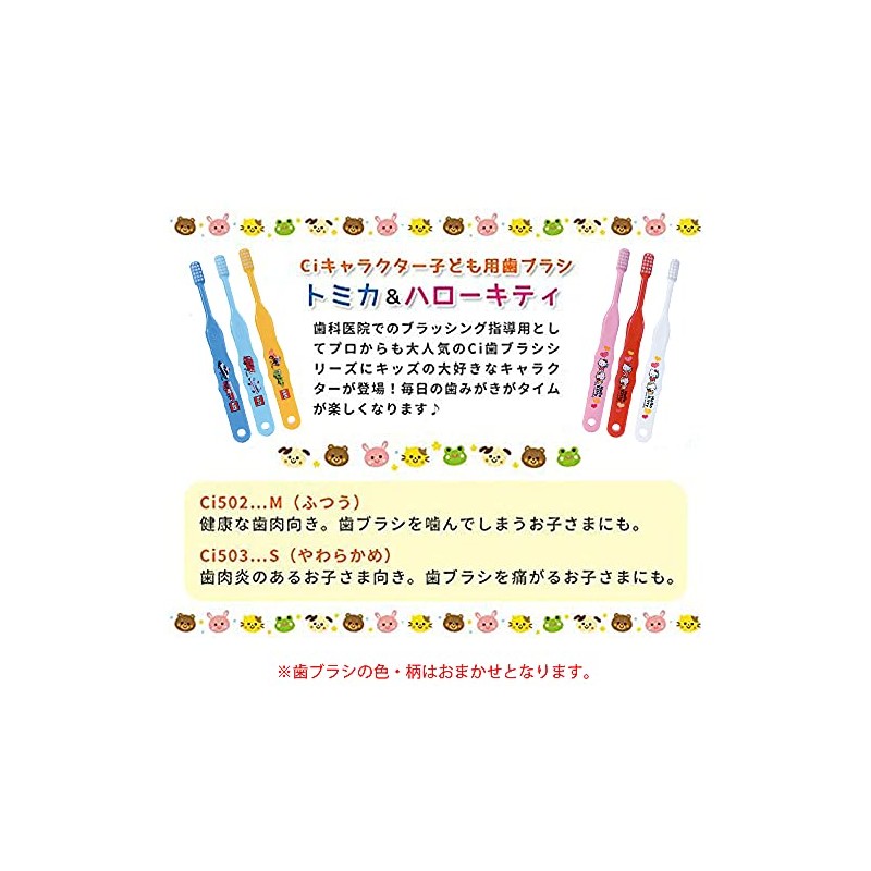 [Dental Hospital Handles] Ci 502 Tomica Toothbrush x 12 (Normal)
