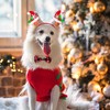 Christmas Dog Collar Set, Durable Dog Collar with Bow Cotton,