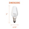 The Body Source Himalayan Salt Lamp Bulb Replacement 2 Pack