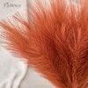 Faylifeway 𝟱𝟬pcs Orange Pampas Grass 𝟭𝟳in, Faux Pampas Grass Home