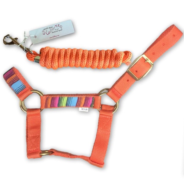 HalterUp Miniature Horse Halters and Lead Ropes (2 Item Bundle)