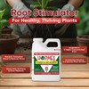 Hormex Liquid Rooting Hormone Concentrate with B1 – Root Growth