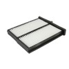 Blue Print ADC42502 Cabin Filter Kit