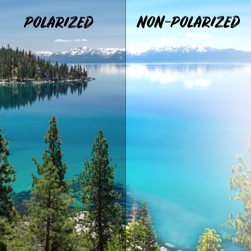 Apex Lenses Replacement Lenses for Karl Lagerfeld KL6159 Sunglasses