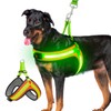 Light Up Dog Harness,Lighted Harness,LED Reflective No Escape Dog Harness