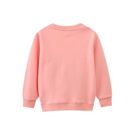 HSTiSan Toddler Girls Cotton Sweatshirt Pullover Sweater Little Kids Long Sleeve Crewneck Tops Tee, Pink - Unicorn 2/5T