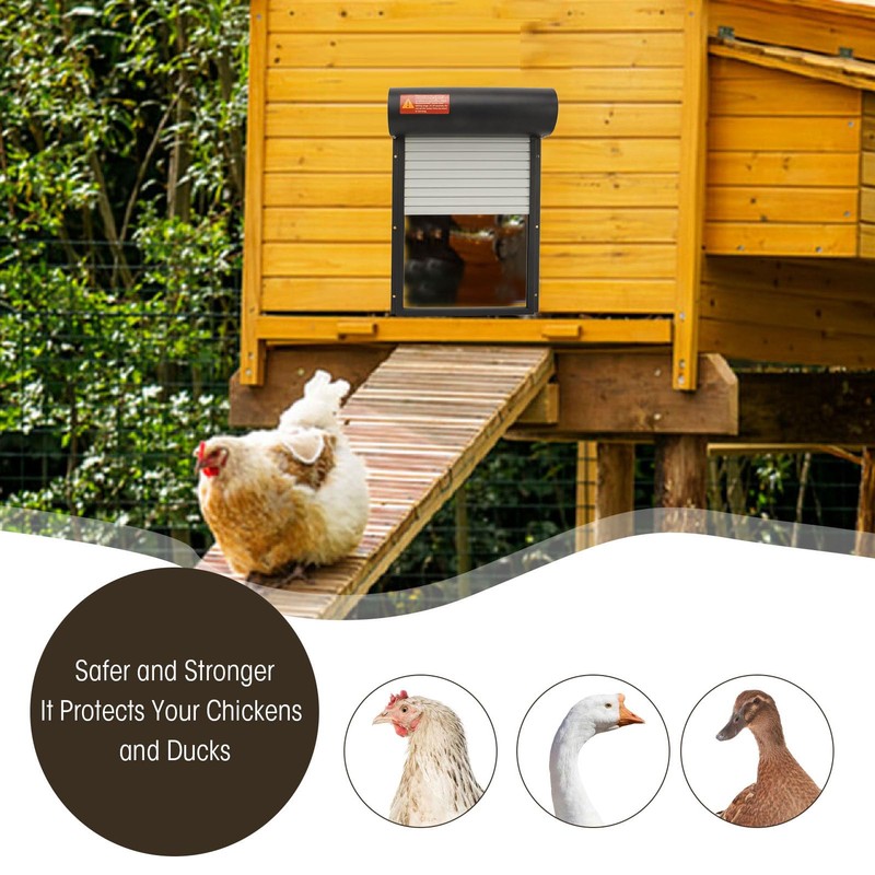 Metal Solar Powered Door for Duck Goose Farm, Automatic Chicken