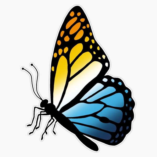 Aroace Pride Butterfly Bumper Sticker Vinyl Decal 5"