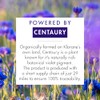 Klorane Plant-Based Purple Shampoo with Centaury, Brightens Blonde, Platinum, Silver,