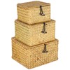 3 PCS Handwoven Natural Seagrass Storage Baskets, Wicker Baskets with