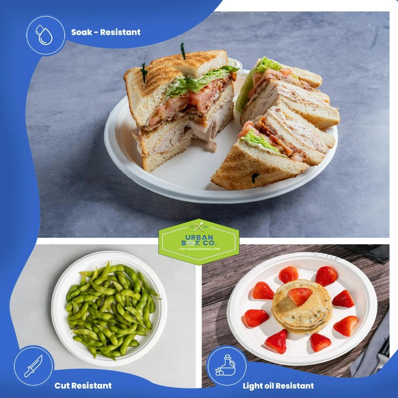 Urban Box Co 10-Inch Disposable Paper Plates, Heavy Duty, Compostable,