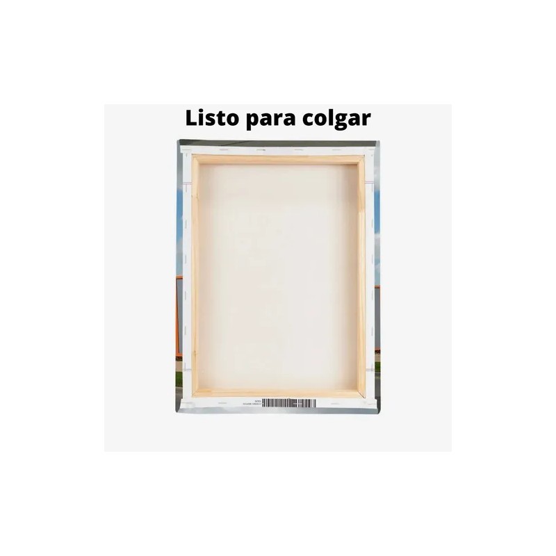 3 Cuadros Plantas Verdes Hogar Habitacion Canvas Arte Plantas