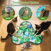 GOHHME Cat Toys Interactive For Indoor Cats Kitten, Automatic Cat