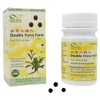 Shen Qi Da Bu Wan (Double Force Form) - Herbal