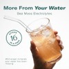 TrueSeaMoss Electrolytes Powder Concentrate Packets – Made in USA –