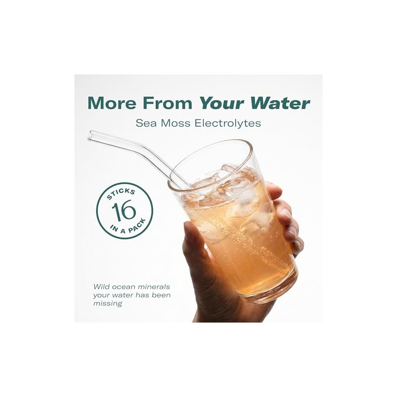 TrueSeaMoss Electrolytes Powder Concentrate Packets – Made in USA –