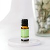 ECO. Modern Essentials Bergamot Pure Essential Oil, 10ml