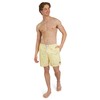 Quiksilver Men's Standard Swimwear Regular Fit Stretchable Comfort Liner Swim