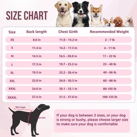 Lukovee Dog Surgery Recovery Suit, Pet Recovery Shirt with Zipper,Dog Cone E-Collar Alternative After Surgery Abdominal Wounds Bandages Preventing Licking Spay Suit for Female Male Dog (2TPI,L)