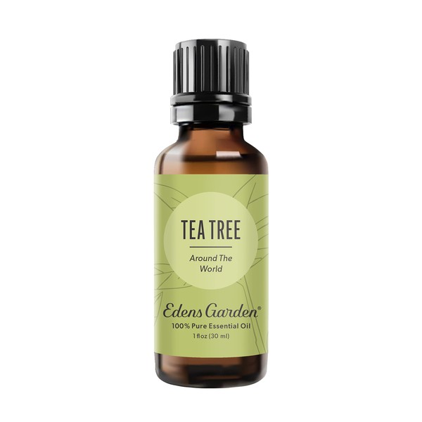Edens Garden Tea Tree "Around The World" Essential Oil, 100% Pure Therapeutic Grade (Undiluted Natural/Homeopathic Aromatherapy Scented Essential Oil Singles) 30 ml