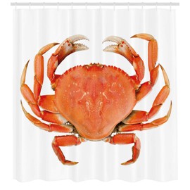 Ambesonne Crabs Shower Curtain, Sea Animals Theme a Cooked Dungeness Crab with National Marks Digital Image Print, Cloth Fabric Bathroom Decor Set with Hooks, 75" Long, Orange White