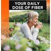 Quality Choice Fiber Therapy Caplets, 100 Count Gentle Fiber Laxative
