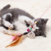 2pcs Feather Teaser Cat Toy, Cat Feather Toys,Interactive Cat Catcher