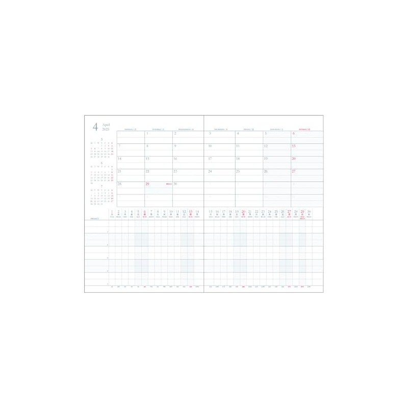 Daigo E1157 2025 Planner, Appointment, Monthly, Black, Begins April 2025