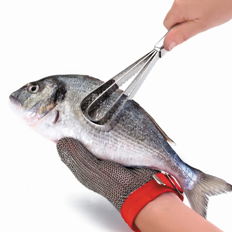 Lacor 18/10 Stainless Steel Fish Scraper, Silver, One Size, 27