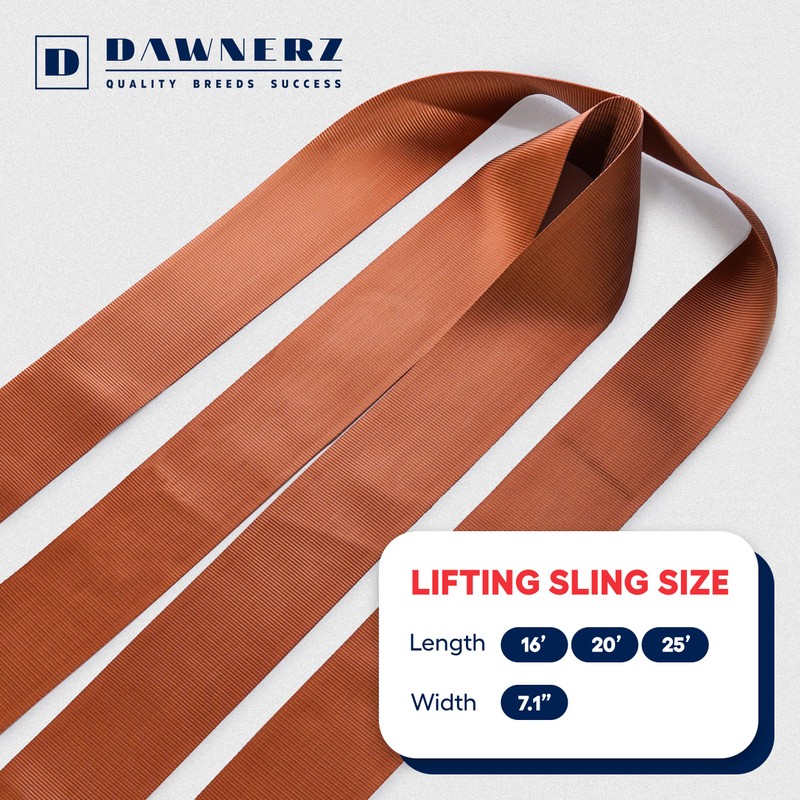 Dawnerz Endless Loop Strap 13200 Lbs Vertical Wll 16ft -