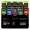 Original Nature | Kit de 5 Aceites Esenciales para Difusor