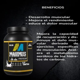Maximus Protein Cla Carnitina 1kg 100 Servs Varios