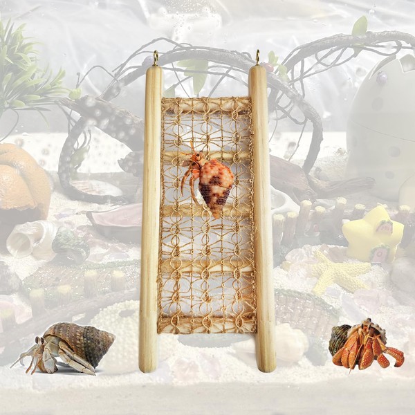 Hermit Crab Climbing Straight Ladder Wooden and Rope Hermit Crab