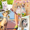 Amylove 48 Pcs Dog Collar and Leash Set, Polypropylene Adjustable