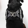 EzyDog FORMFIT Dog Harness for Small Sized Dog - All