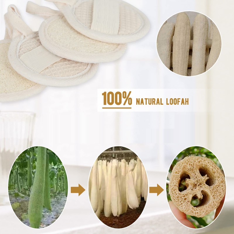 6 púas de esponjas exfoliantes para la cara, esponja limpiadora