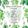 Purely Home Kitchen Herbs Tea Storage Canister - White &