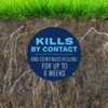 BioAdvanced Complete Insect Killer for Lawns, 40 oz, Concentrate, 6,667