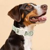 Hedgehog Dog Collar for Small Dogs, Green Pet Collar with