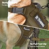 Petmolico Tactical Dog Harness with Leash, No Pull Dog Harness