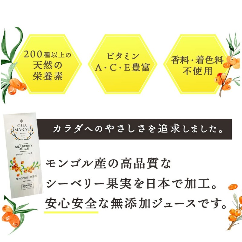 グアマラル サジー シーベリージュース サジージュース サジーサプリ 無添加 スティックタイプ モンゴル産 30ml (7個入り)