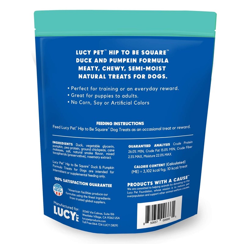 Lucy Pet Hip To Be Square Duck And Pumpkin Dog