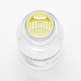 Skater PTY5-A My Neighbor Totoro Water Bottle, 16.9 fl oz (500 ml), March, Studio Ghibli, Infuser Included, Water Bottle