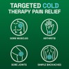 Biofreeze Menthol Spray 3 FL OZ Colorless Aerosol Spray Associated